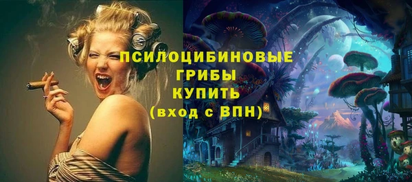 apvp Новозыбков