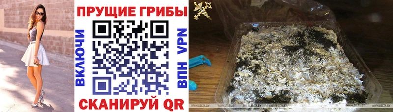 Галлюциногенные грибы Magic Shrooms  Короча 